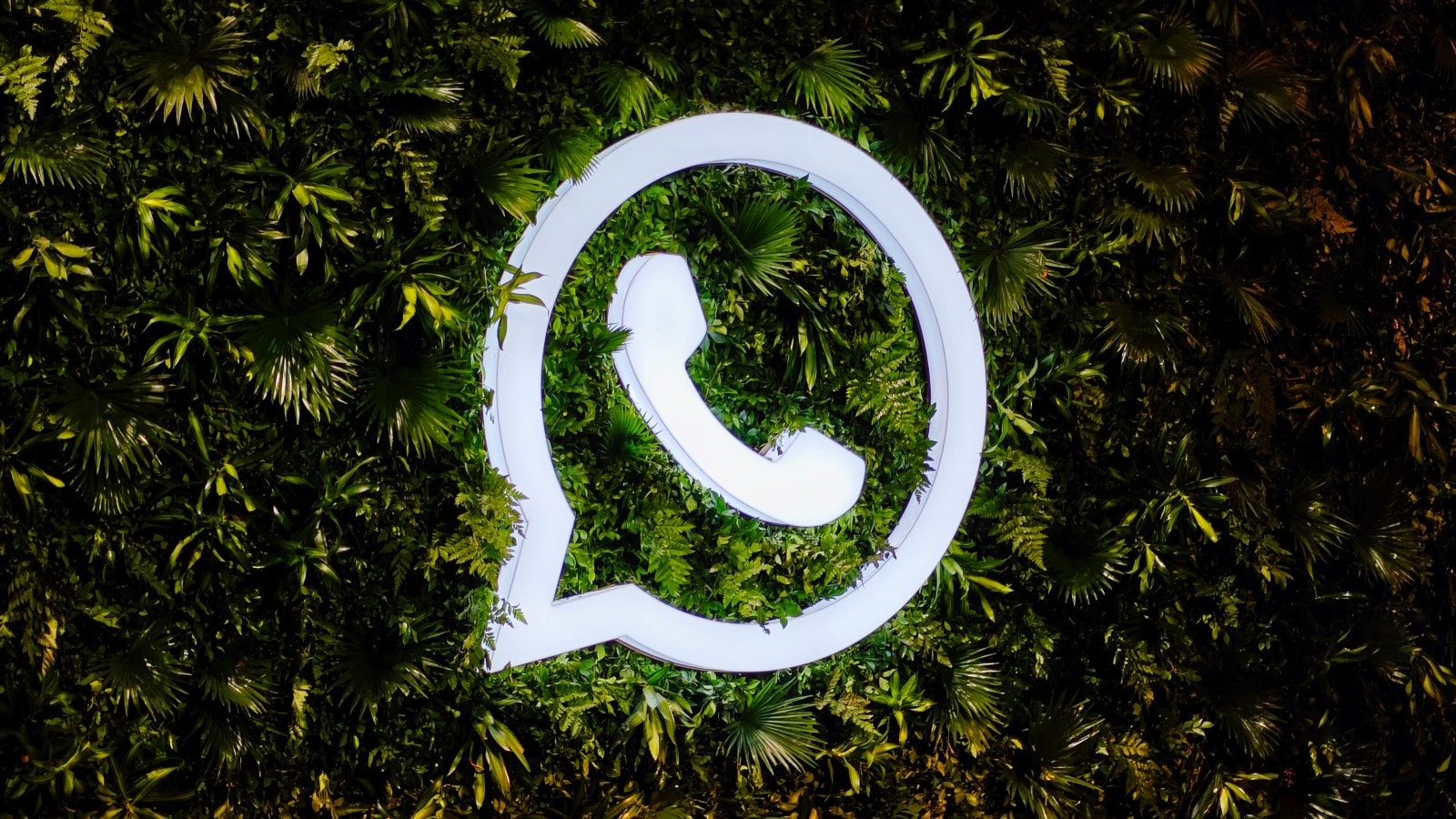 New Trends in Digital Marketing: The Power of WhatsApp Number Filtering